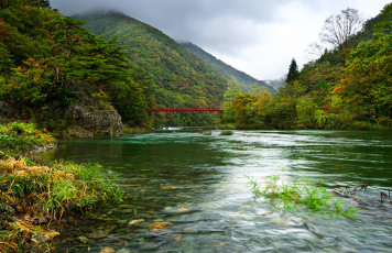 Картинка природа реки озера вода течение мост лес горы