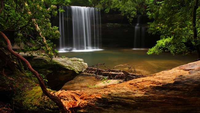 Обои картинки фото caney, creek, falls, природа, водопады, водопад, обрыв, ветки, камни, деревья