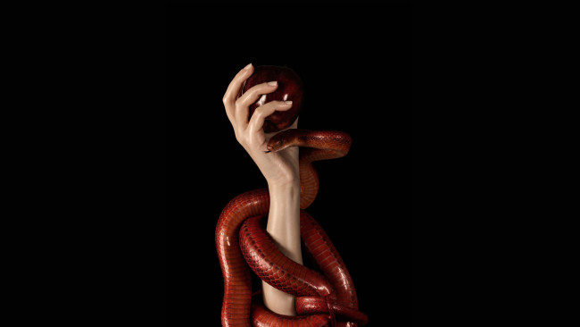 Обои картинки фото разное, руки, красная, змея, яблоко, рука