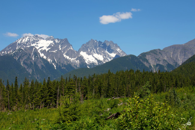 Обои картинки фото природа, горы, alaska, пейзаж, деревья, аляска, лес