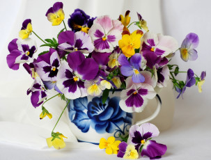 Картинка цветы анютины глазки садовые фиалки кувшин разноцветный яркий