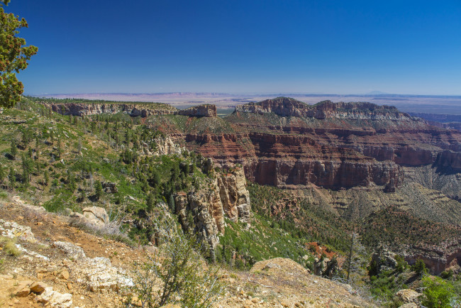 Обои картинки фото grand, canyon, national, park, arizona, природа, горы