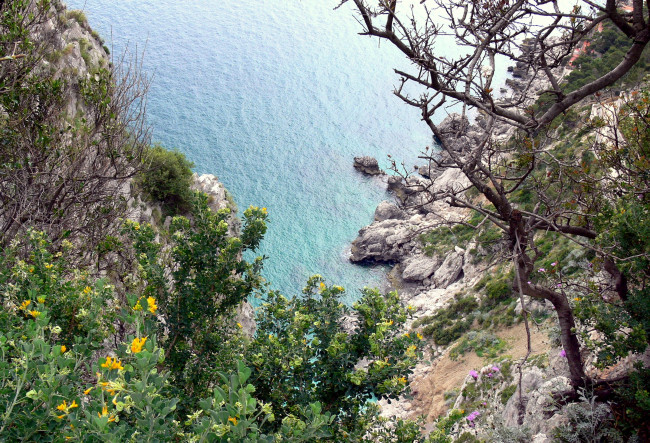 Обои картинки фото природа, побережье, камни, скалы, море, растительность