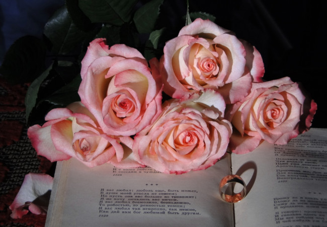 Обои картинки фото цветы, розы, пушкин, обручальное, кольцо, розовый, стихи, книга