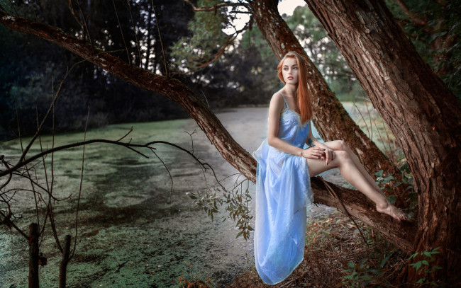 Обои картинки фото девушки, -unsort , рыжеволосые и другие, природа, пруд, в, лесу, на, дереве, сидит, девушка, рыжая, красивая