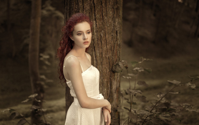 Обои картинки фото девушки, -unsort , рыжеволосые и другие, одна, в, лесу, у, дерева, боке, девушка, красивая, платье, белом