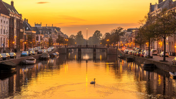 Картинка города -+улицы +площади +набережные вечер нидерланды мост харлем река дома лебедь