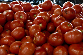 Картинка еда помидоры спелые красные много