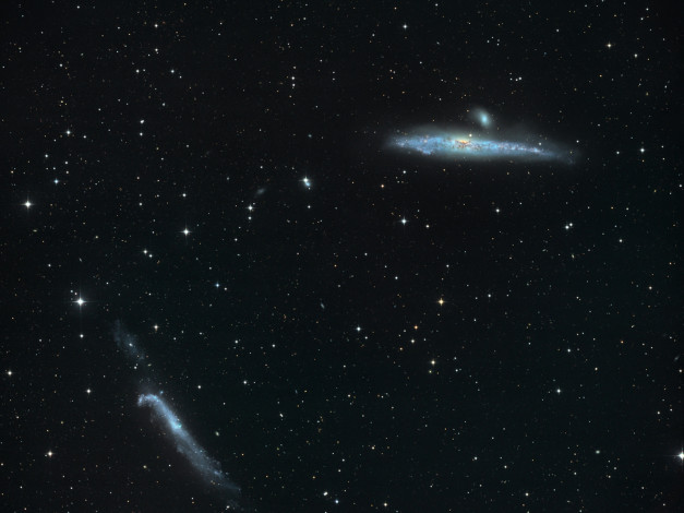 Обои картинки фото ngc4631, ngc4656, космос, галактики, туманности