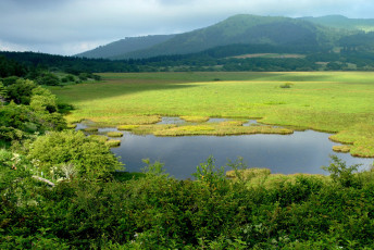Картинка природа реки озера луг