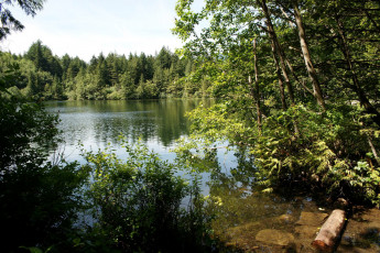 Картинка browning lake канада природа реки озера