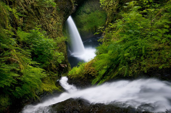 Картинка природа водопады вода поток папоротник