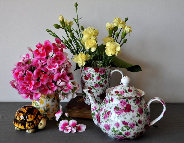 Обои картинки фото цветы, разные, вместе, гвоздики, чайник, герань