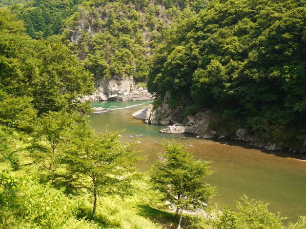 Обои картинки фото kyoto, Япония, природа, реки, озера, берега, река, деревья