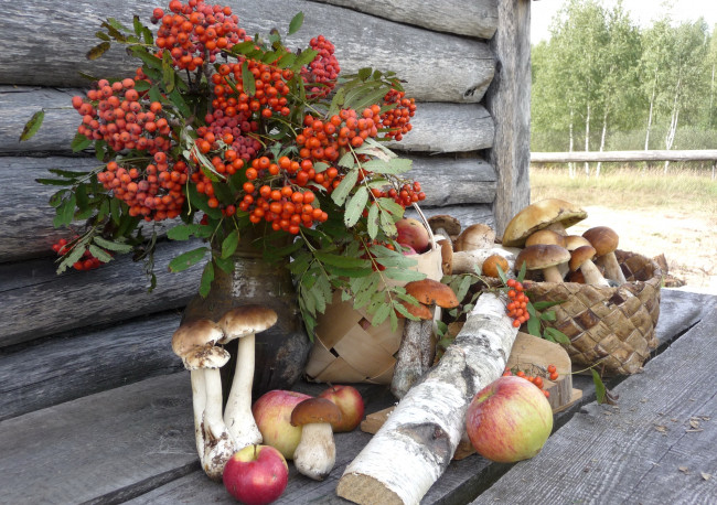 Обои картинки фото еда, натюрморт, боровики, рябина, полено, яблоки