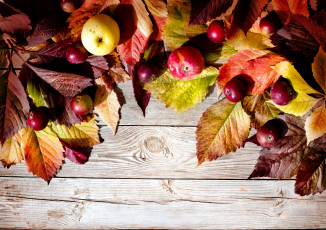 обоя еда, Яблоки, осень, листья