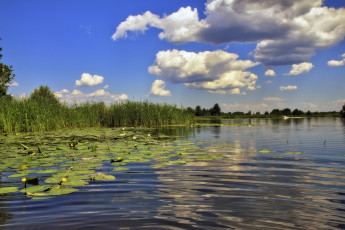 Картинка природа реки озера облака кувшинки