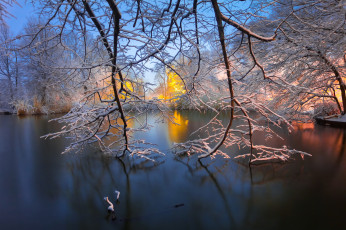 Картинка природа зима brooklyn new york city проспект-парк озеро ветки нью-йорк бруклин prospect park