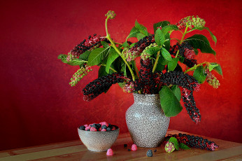 Картинка еда конфеты +шоколад +сладости ягоды ветка конфетки мармелад ваза