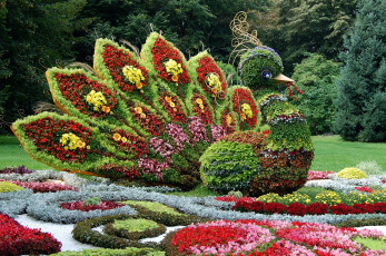 Картинка разное садовые+и+парковые+скульптуры киев выставка красота праздник цветы