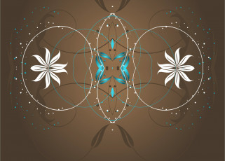 Картинка векторная+графика цветы+ flowers узоры симметрия орнамент