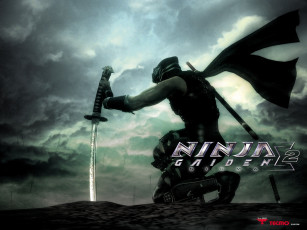 Картинка ninja gaiden sigma видео игры