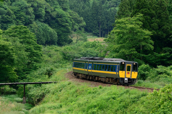 Картинка техника вагоны лес поезд