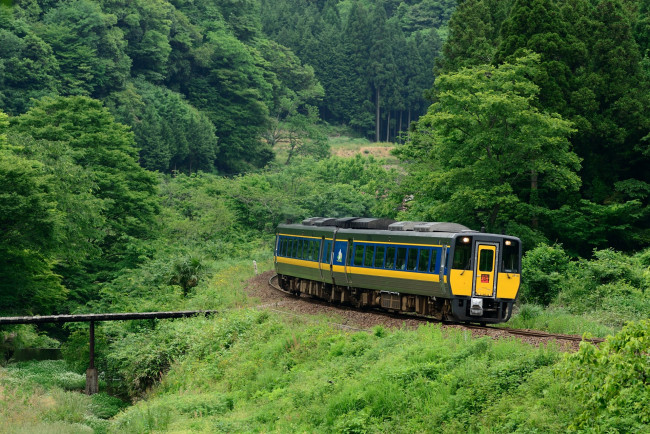 Обои картинки фото техника, вагоны, лес, поезд