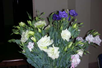 обоя цветы, эустома, букет, лизиантус