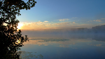 Картинка оз светлояр природа реки озера озеро утро восход туман