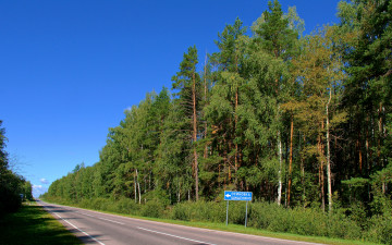 Картинка природа дороги дорога лес небо