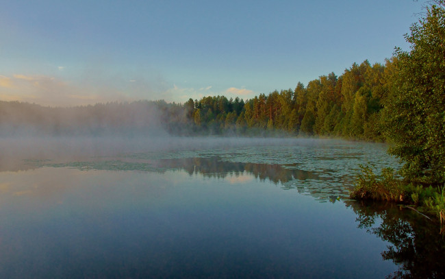 Обои картинки фото оз, светлояр, природа, реки, озера, озеро, лес, утро, туман