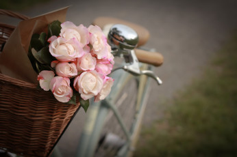 Картинка цветы розы букет корзина велосипед