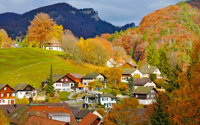 Обои картинки фото города, - пейзажи, switzerland, langenbruck, деревня, горы, деревья, поле, швейцария