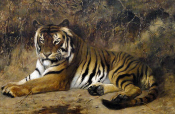 обоя рисованное, животные,  тигры, тигр, кошка, жан-леон, жером, картина