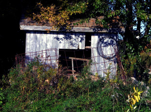 Картинка разное развалины руины металлолом трава листья