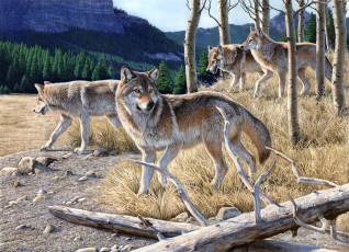 Картинка hungry рисованные al agnew осень стая волки