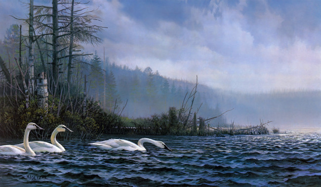 Обои картинки фото swan, lake, рисованные, don, kloetzke, озеро, лебеди