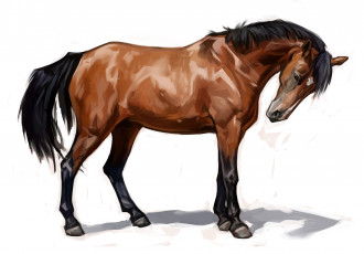 Картинка рисованные животные +лошади фон лошадь