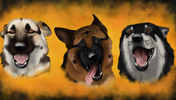 Картинка рисованные животные +собаки морды