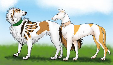 Картинка рисованные животные +собаки собаки взгляд трава