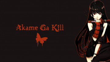 Картинка аниме akame+ga+kill акаме девушка арт