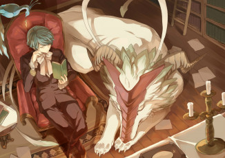 Картинка аниме животные +существа бант подсвечник дракон сидит голубые волосы павлин библиотека книги рога парень кресло костюм