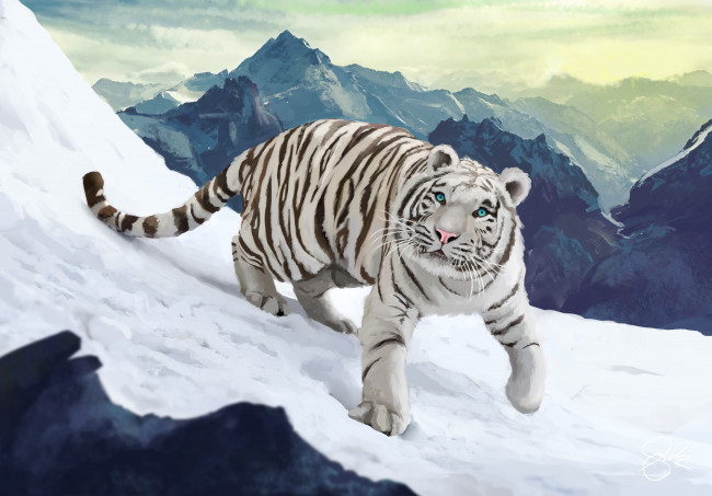 Обои картинки фото рисованное, животные,  тигры, рисунок, снег, тигр