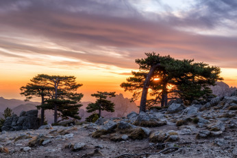 Картинка природа восходы закаты закат горы деревья