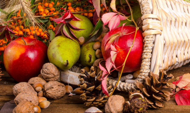 Обои картинки фото еда, разное, шишки, рябина, фрукты, орехи, дары, осени, цветы, корзинка