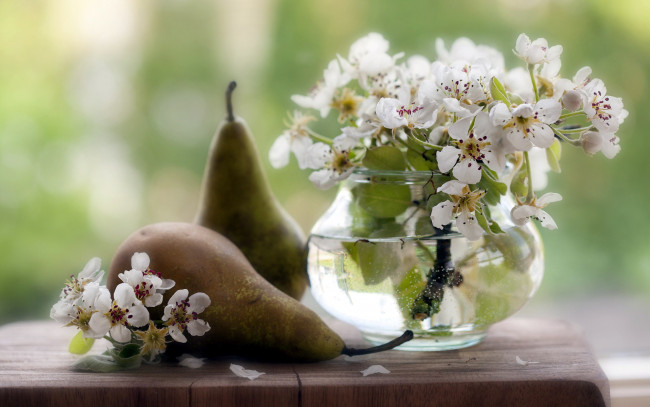 Обои картинки фото еда, груши, цветы, ваза