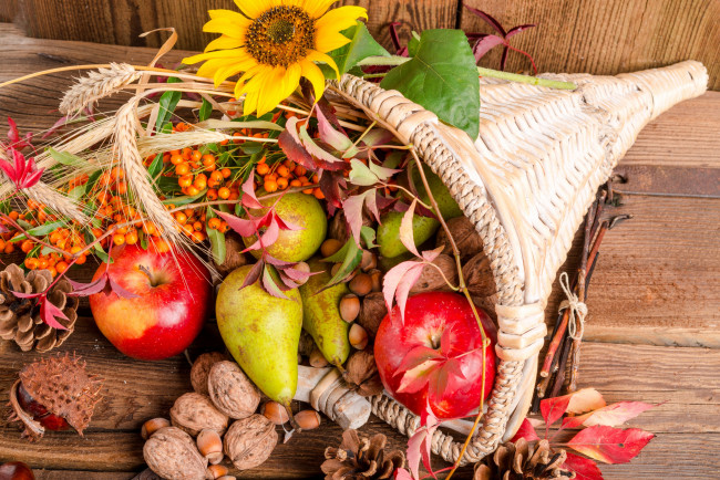 Обои картинки фото еда, натюрморт, орехи, дары, осени, цветы, корзинка, шишки, рябина, фрукты