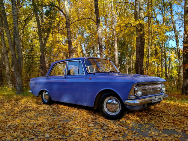 Обои картинки фото автомобили, москвич, иж, автомобиль, синий, ретро, лес