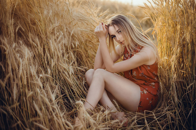 Обои картинки фото девушки, - блондинки,  светловолосые, блондинка, девушка, пшеница, поле, лето